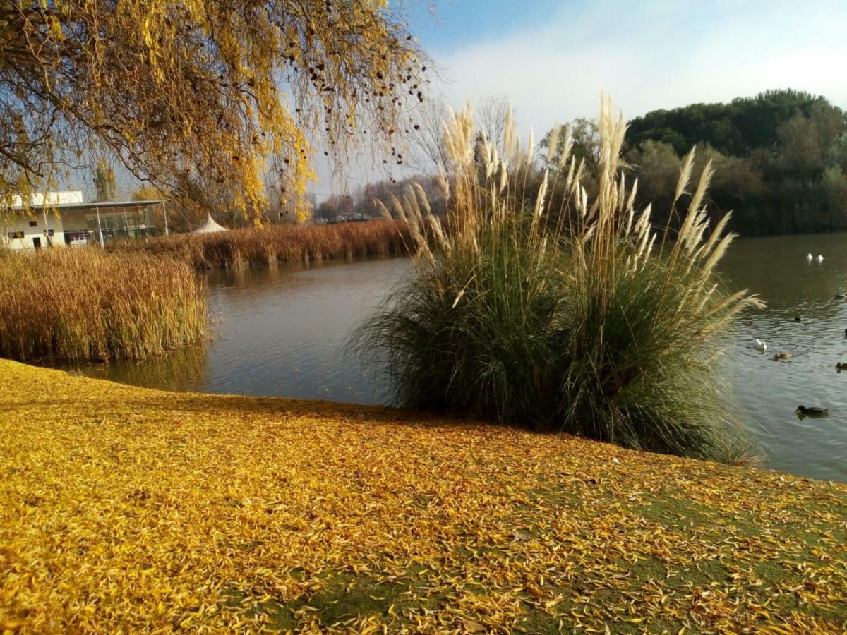 La Laguna Apartman Laguna de Duero Kültér fotó